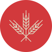 icono de ingredientes ecológicos